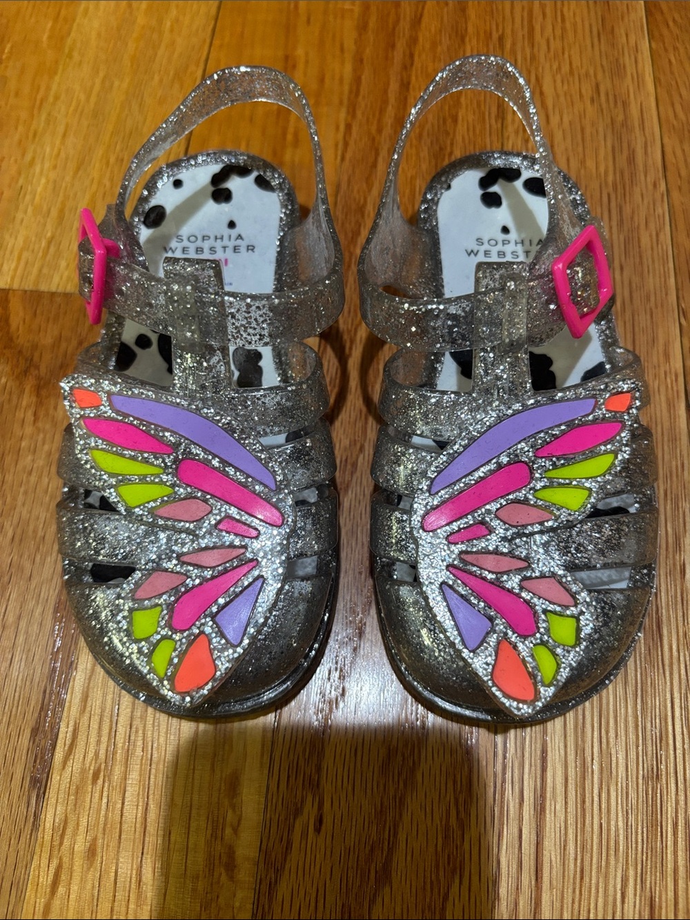 Sophia Webster Kids Silver Glitter Jelly Sandals with Multicolor Butterfly Wings